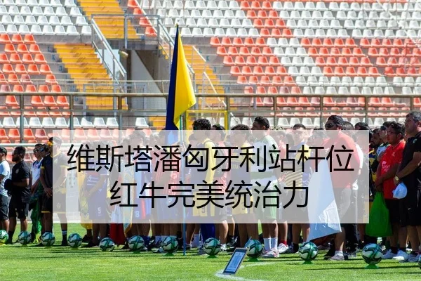 维斯塔潘匈牙利站杆位 红牛完美统治力